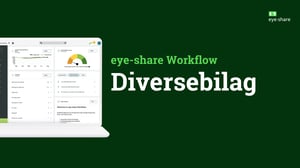 Thumbnail YouTube Product videos Diversebilag
