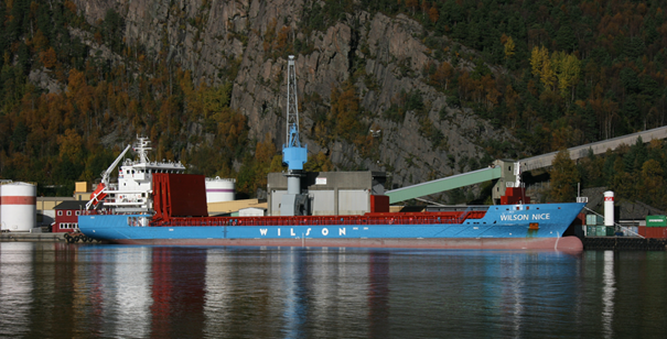Bilde av lasteskip i norsk landskap