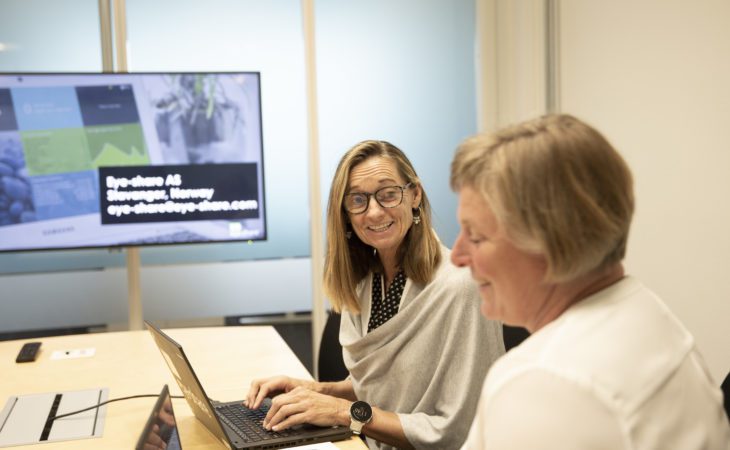 Eye-share employees Torhill and Siw talking in a meeting room.